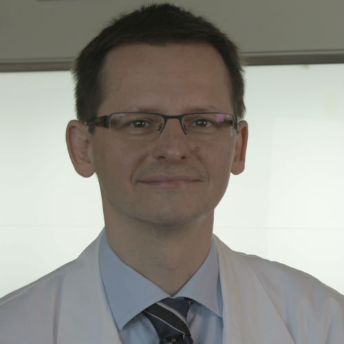 Professor Gabor Kovacs, Projektkoordinator des Develage Projekts in Wien